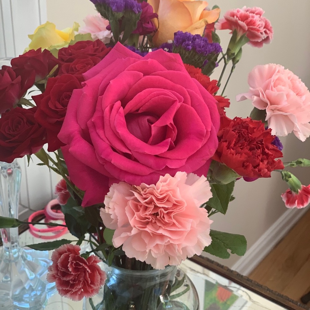 Meet your Posher, Robin